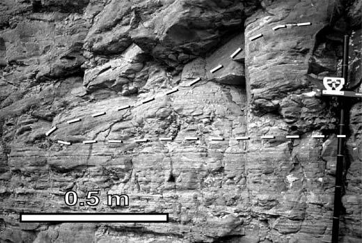 Figure 14. Skolithos trace fossil within stratified sandstones. Figure 12.