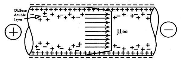 Figure 1. Velocity profile of a fully developed electro-osmotic flow. 1.2.