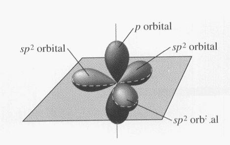 Use one s and two p orbitals to make sp 2 orbitals.
