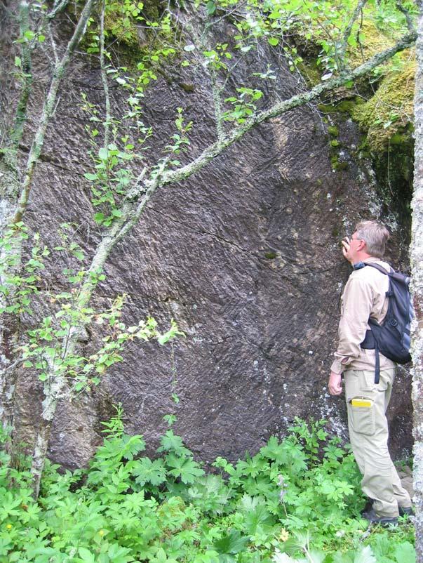 Figure 8. Planar quarry walls at Haltøya, showing hew marks from pickaxe, chisel or other handheld tools. The Bjørnå soapstone deposit is located ca. 9 km SSE of the town of Mosjøen (Figure 1).