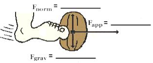 cfm MO Connection: Newton's Laws: sublevels 8 and 9 Free-body diagrams are shown for a variety of physical situations.