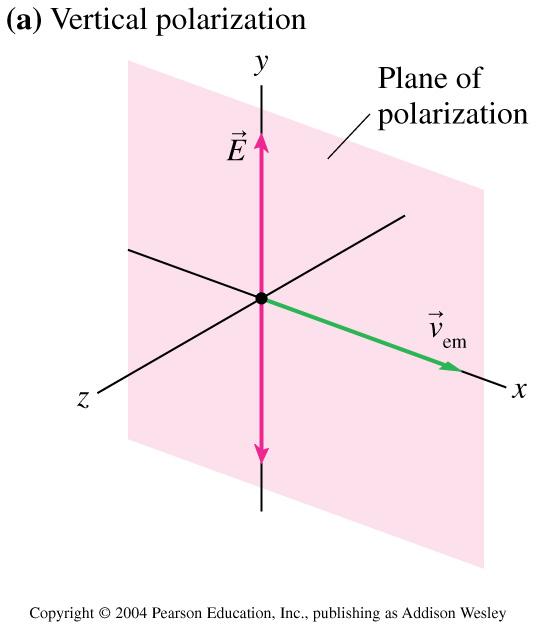 Polarization l An electromagnetic wave can
