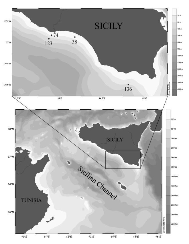coastal marine areas and in transition environments (Coccioni, 2000; Coccioni et al., 2003; Coccioni et al., 2005; Coccioni & Marsili, 2005).
