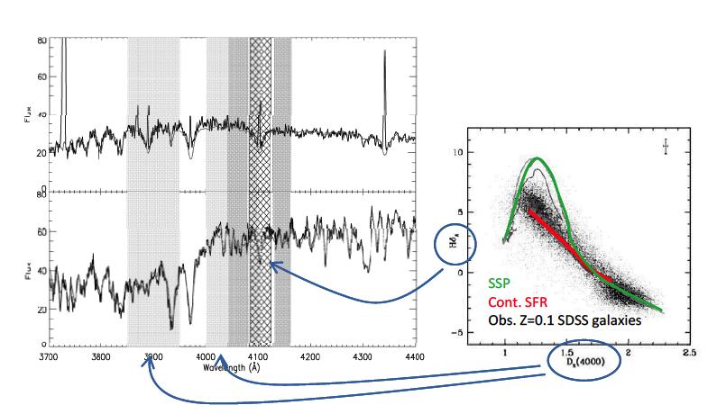 Signatures of Stellar Evolution Hδ vs D(4000)- distinguish SSP