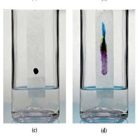 Paper Chromatography: - Is a method for analyzing complex mixtures (such as ink) by separating