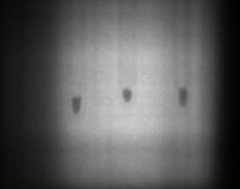 Neutron Radiography Neutron Radiographic Images of the quartzvial samples taken at the Budapest facility