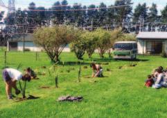 Otatara, Eastern Institute of Technology, Hawke s Bay Planting date: 9 October 1995 This site was organised by Jody Stent and Bana Paul, as trustees of the Otatara Rōpū Raranga Charitable Trust.