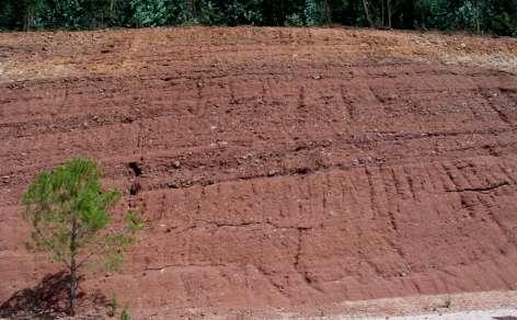 grading into silts and clays deposited at shallow lacustrine