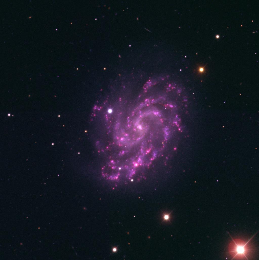 Supernova 2007af in NGC G5584 was discovered by Japanese supernova hunter Koichi Itagaki.