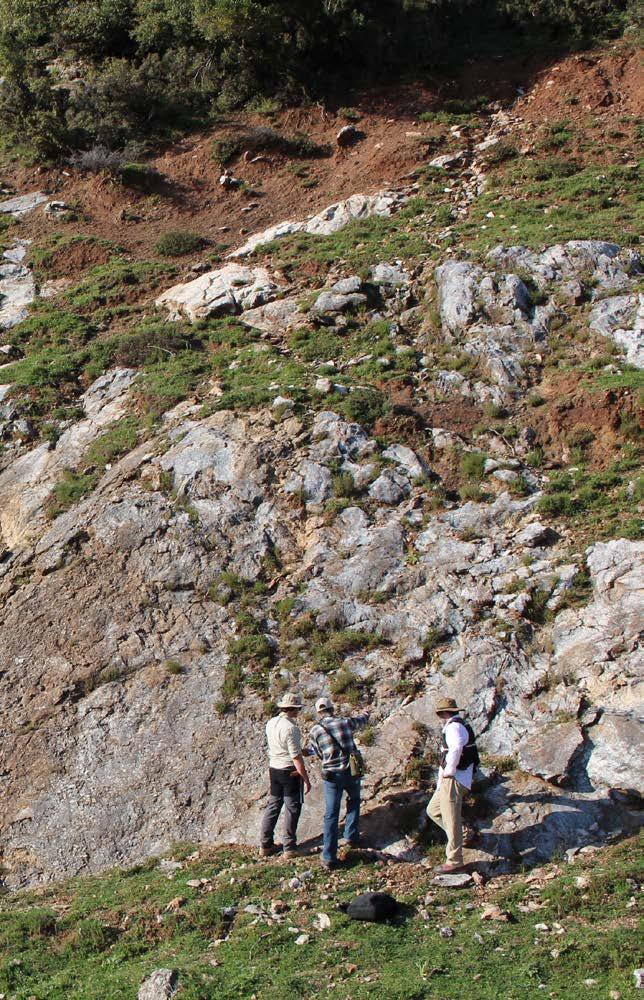Greece Exploration Profile High geological prospectivity Wide range of Au-rich deposit styles Underexplored, no modern exploration outside of known deposit areas Eldorado owns all major gold deposits