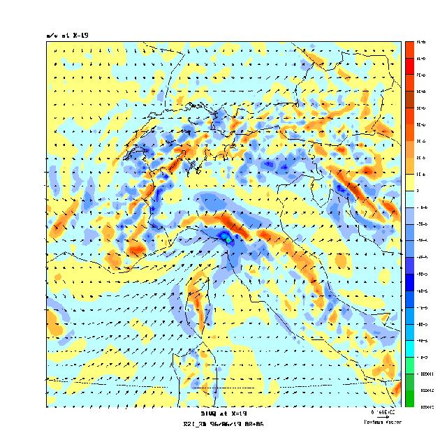 Fig. 5: Wind field and moisture convergence at about 250 m a.g.l. (SM 19 June 1996 00 UTC + 6h).