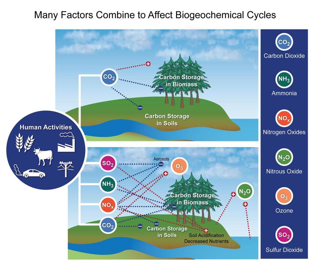 5 Biogeochemical Cycling As previously stated, the amount of substances required by organisms is not found in unlimited quantities in the biosphere.