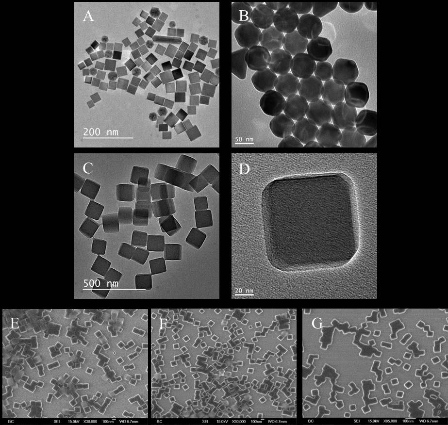 Figure 5. TEM images of Pd nanocube (A); Au octahedron (B); ZIF-8 nanocube (C, D). SEM images of ZIF-8 with particle size from 150 nm to 60 nm (E, F, G).