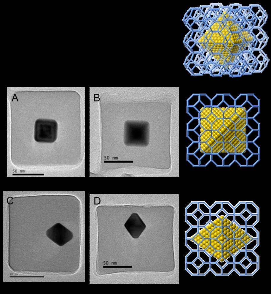 Figure 14. TEM images and corresponding 3D modelling of Au@ZIF-8 core-shell nanoparticles. [100] view of TEM images and projection (A, B, F), [010] view of TEM images and projection (C, D, G).
