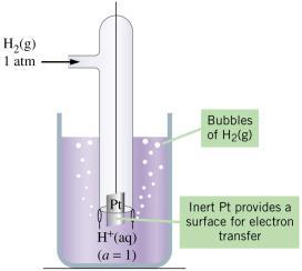 Arbitrary zero is chosen for the Standard Hydrogen Electrode (SHE) Standard Hydrogen Electrode Half-cell values are referenced to a standard hydrogen electrode (SHE).