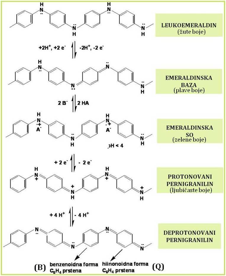 Slika 18. Različite oksido redukcione i kiselo bazne forme polianilin (A prestavlja anjon kiseline dopant anjon).