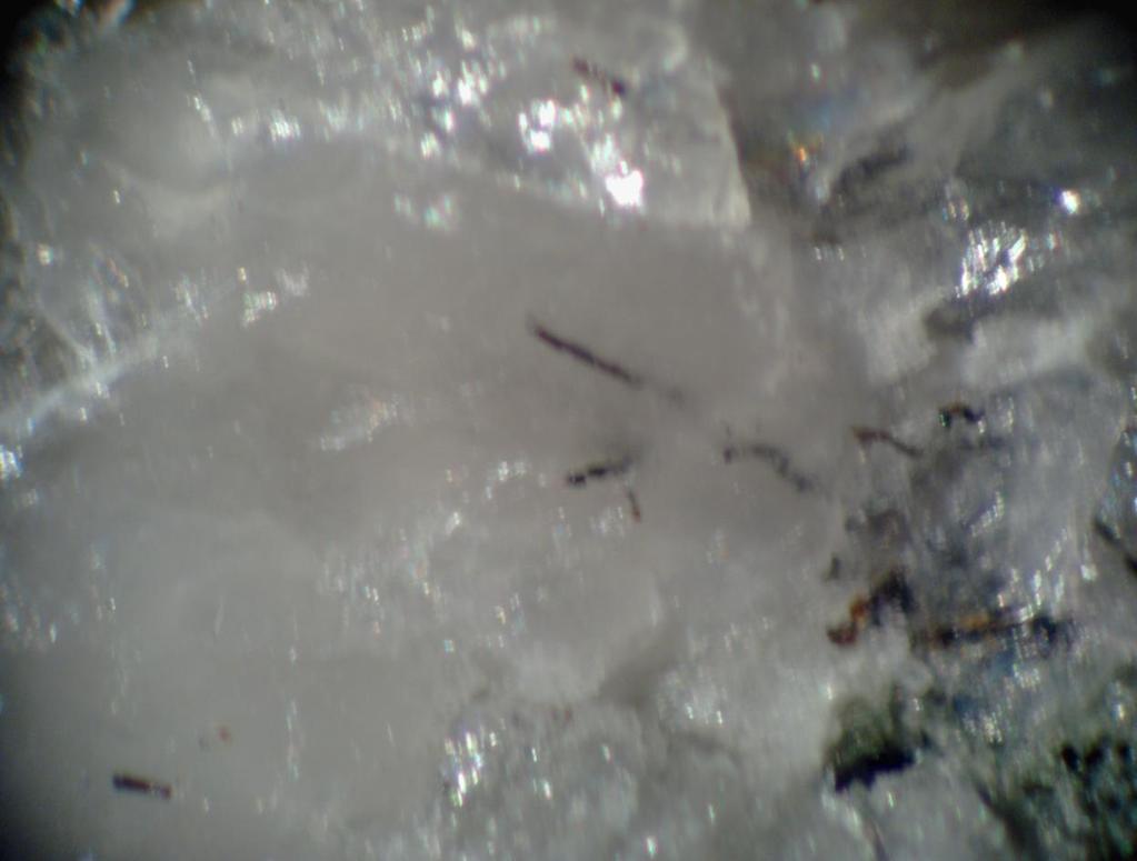 Silicification and alteration occur in intervals where quartz vein footages are Figure 4. From DDH R-11 at 80.9 ; shows typical rutile needles. Horizontal field of view is about 3 mm. maximized.
