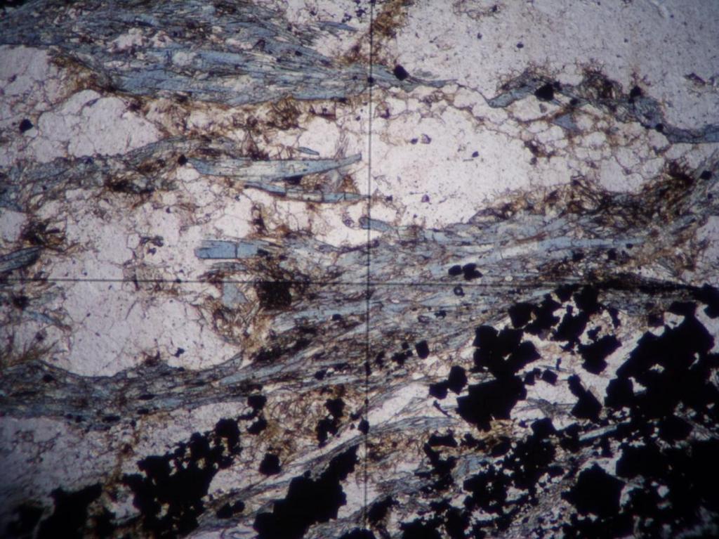 lamina fragments. Horizontal field of view is 1.55 mm.