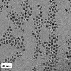 (Color online) TEM image of the 5 nm dodecanethiol-coated Au NPs on 3-5L graphene. B.