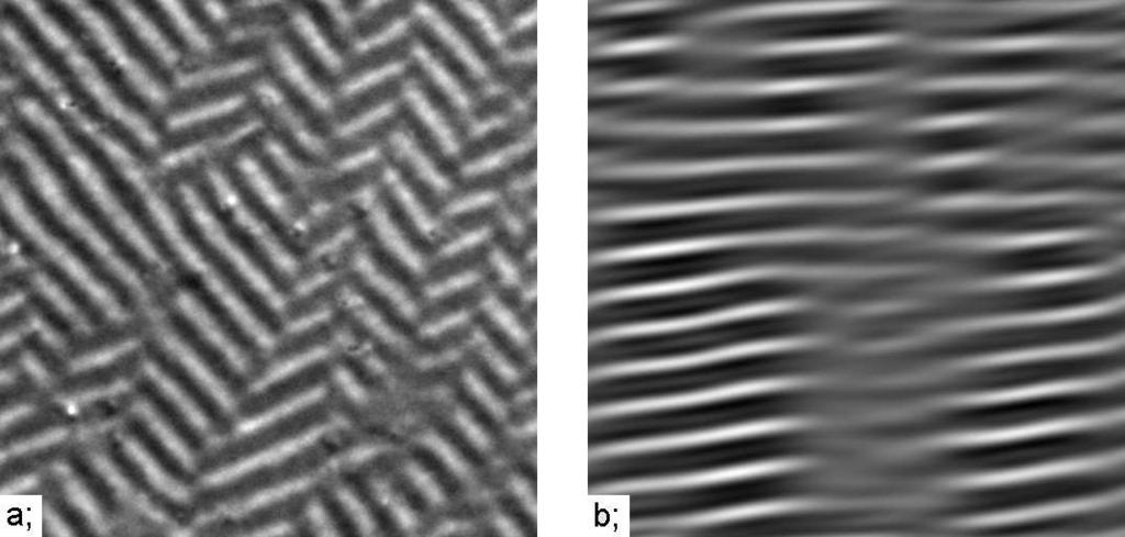 In this paper we have reviewed the structures appearing at onset of electroconvection in nematic liquid crystals.