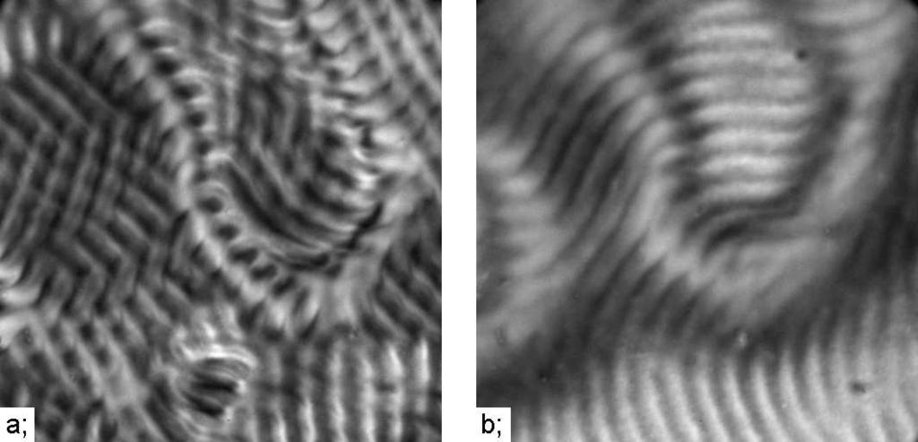Snapshots of nonstandard electroconvection pattern in case G taken with crossed polarizers. a; Oblique rolls, b; parallel rolls. Contrast was enhanced by digital processing.