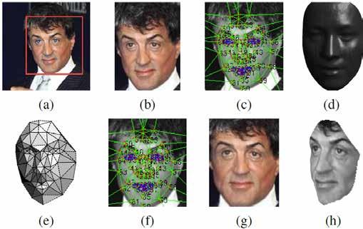 Face verification using deep networks Alignment pipeline. (a) The detected face, with 6 initial fiducial points. (b) The induced 2D-aligned crop.