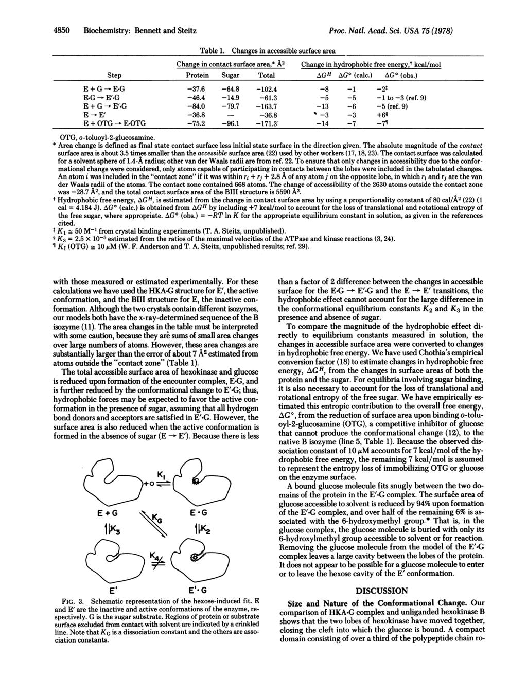 4850 Biochemistry: Bennett and Steitz Proc. Natl. Acad. Sci. USA 75.(1978) Table 1.