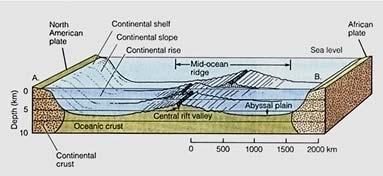 Know these mega-scale Landforms Continental Shelf Continental Slope Continental Rise