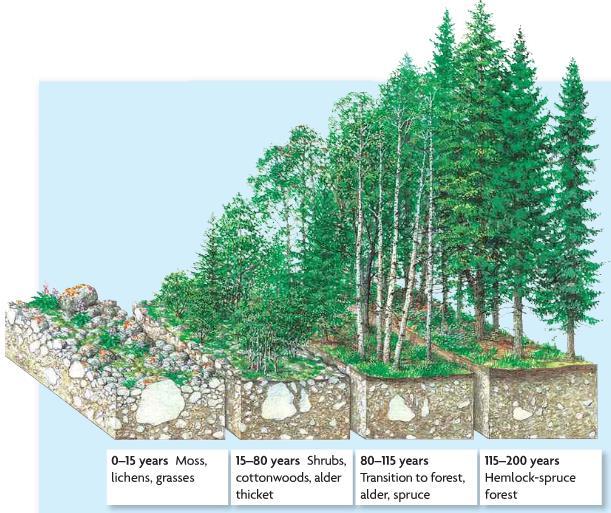 Big Changes in the system Primary succession- going from nothing (no soil)to pioneering community to