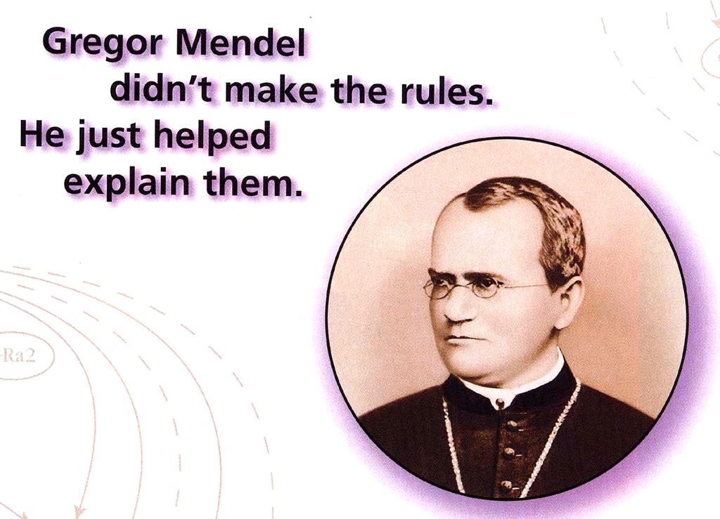 In the 19 th century Mendel articulated the fundamental laws of heredity that apply to all eukaryotic organisms Many biologists in Mendel s time were interested in heredity, but