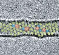 Looking to the Future of Carbon Nanostructures Synthesis