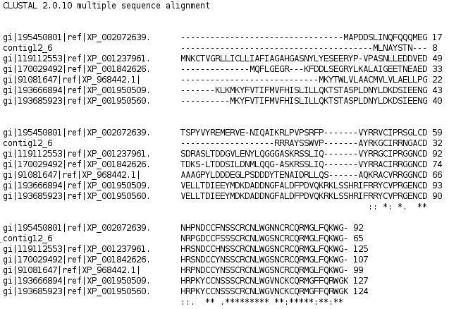 Figure 15: CLUSTALW alignment of proposed protein sequence related to Genscan