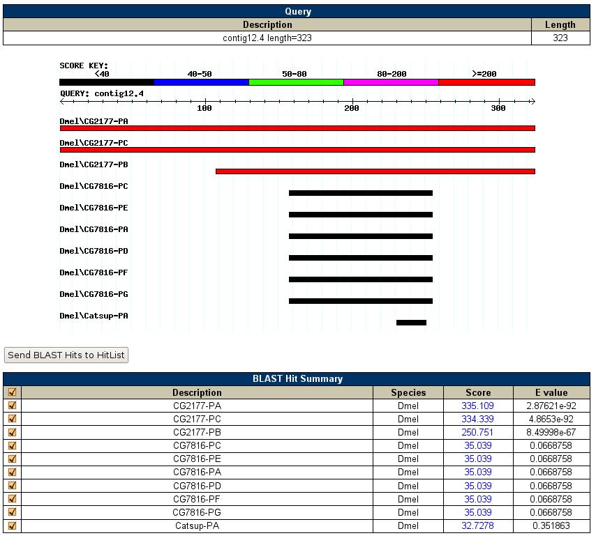 Figure 3: BLASTP of Genscan feature 12.4 against D. melanogaster annotated protein database 2.1.1 Genome Browser: First Look I began by looking at the genome browser to get a general impression of the feature and what to expect.