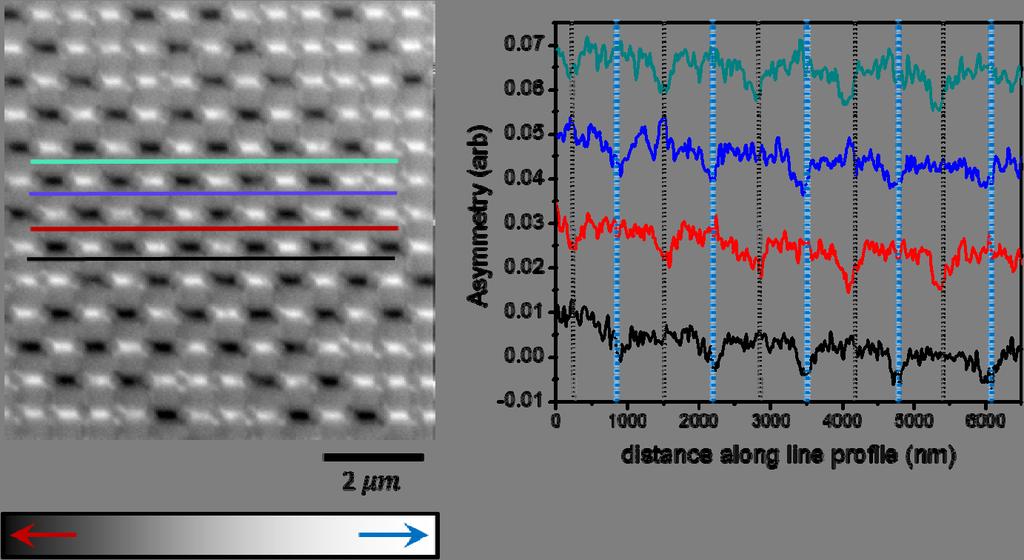 Figure S2 Magnetic force microscope image of the one-ring ensembles with coupling strength of measured at room temperature.