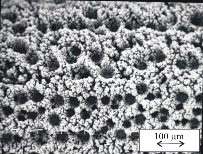 IONIC EQUILIBRIUM AND HONEYCOMB-LIKE Cu DEPOSITS 755 SEM Microphotographs corresponding to morphologies of copper deposits, obtained with a quantity of electricity of 10.