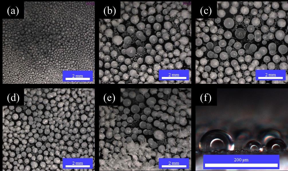 Figure 4. Freezing at 60% relative humidity for the a) hydrophilic, b) hydrophobic, c) 200IL, d) 200S, and e) 25IL surface. Image f is a side image of droplets on the 25IL surface.