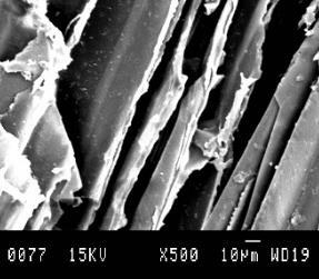 The SEM images of single fibre were determined with JSM-6100 scanning microscope at 35x and 500x magnifications to show the texture. Properties of fibres are reported in Tab. 1.