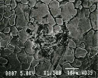 ) Scanning electron micrograph (SEM) image of surface