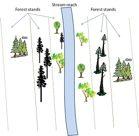 widths' Inputs:'stand'tables'from'forest' growth'models' Outputs:'10'types'of'plots'