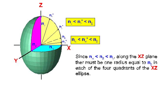 Indicatrix is a triaxial ellipsoid elongated along the Z axis, and flattened along the X axis.