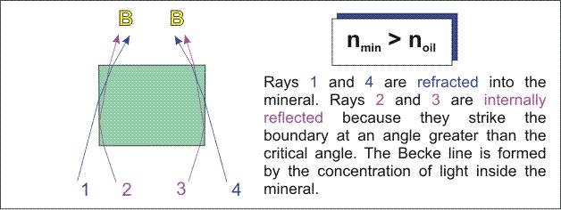 INTERNAL REFLECTION This hypothesis to explain why Becke Lines form requires that grain edges be vertical, which in a normal thin section most grain edges are believed to be more or less vertical.