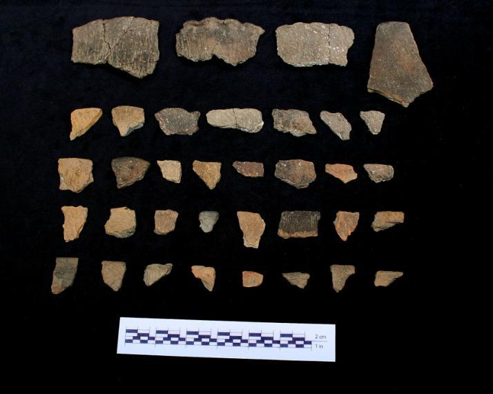 The assemblage is dominated by ceramics and faunal remains. Approximately 38% of the site s assemblage consists of ceramics.