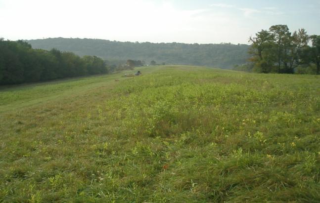 1 of the Society for Pennsylvania Archaeology. The site is situated on a long peninsular hill spur oriented north to south at an elevation of 360 m above sea level.