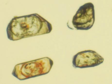 a of greywacke similar to the Burntwood Group are found as schlieren or inclusions in the granitic rocks.