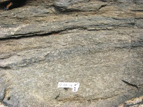 In rare locations, close to pegmatite, the unit is a leucosome-rich diatexite. The Burntwood Group rocks show a cataclastic foliation and intersection crenulation.