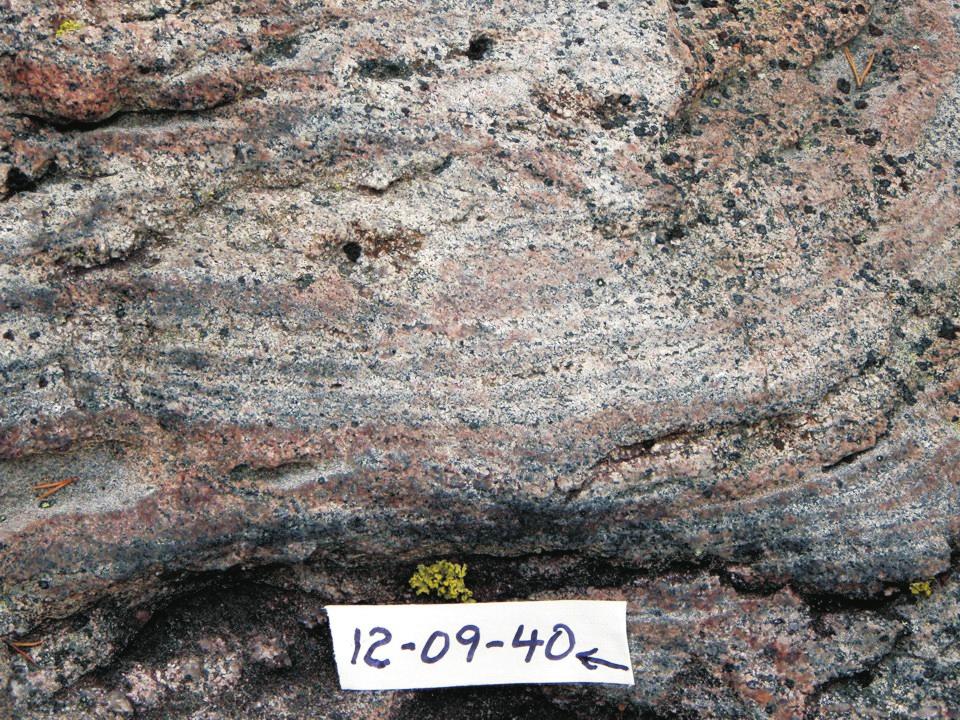 derived from nonmarine lithic arenite; d) Sickle Group hornblende-biotite gneiss (hornblende