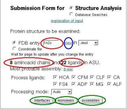 As soon as the file is uploaded to the server, it will give you preliminary information regarding the PDB entry (number of proteins chains and bound ligands).