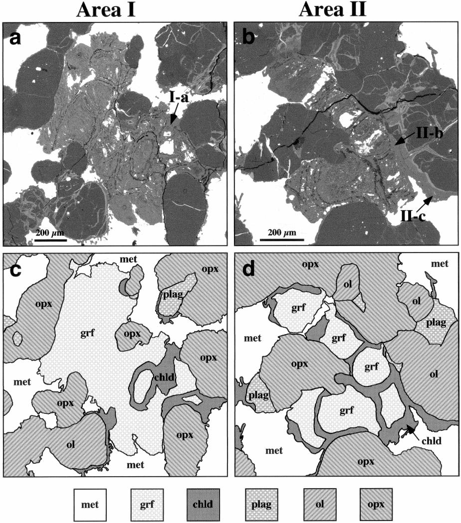 FLOSS: Fe,Mg,Mn-BEARING PHOSPHATES IN GRA 95209 1355 FIGURE 1. BSE images of (a) area I and (b) area II from GRA 95209,39, showing Fe,Mg,Mn-bearing phosphates (light gray).