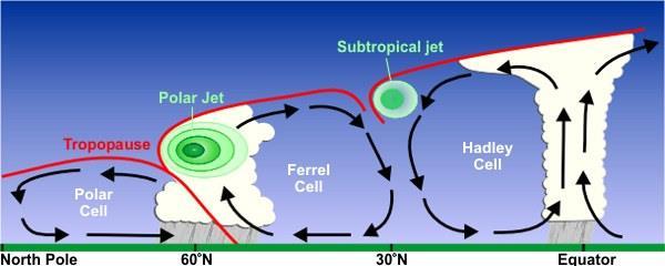 two types of jet stream, namely subtropical thermally-driven jet and polar eddy-driven jet, as demonstrated in figure 1.