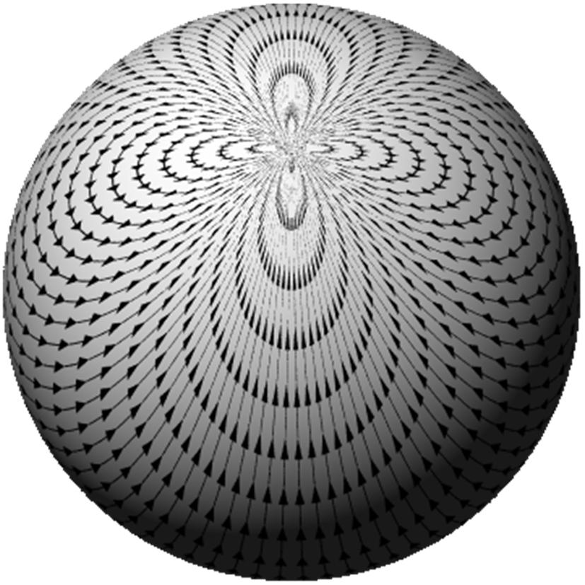 Hairy Ball Theorem A tangent vector field on a sphere will always have